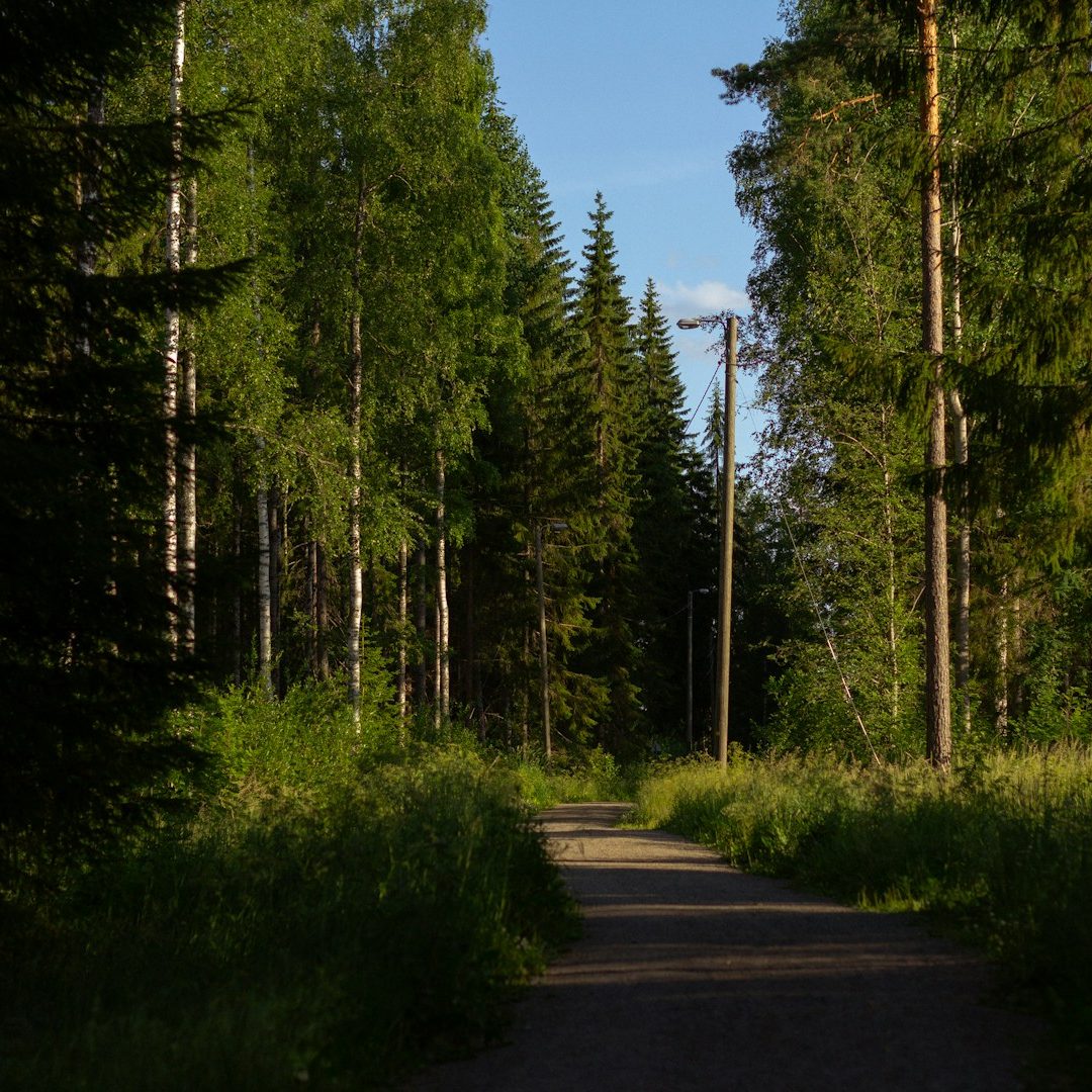 walking path with gardens